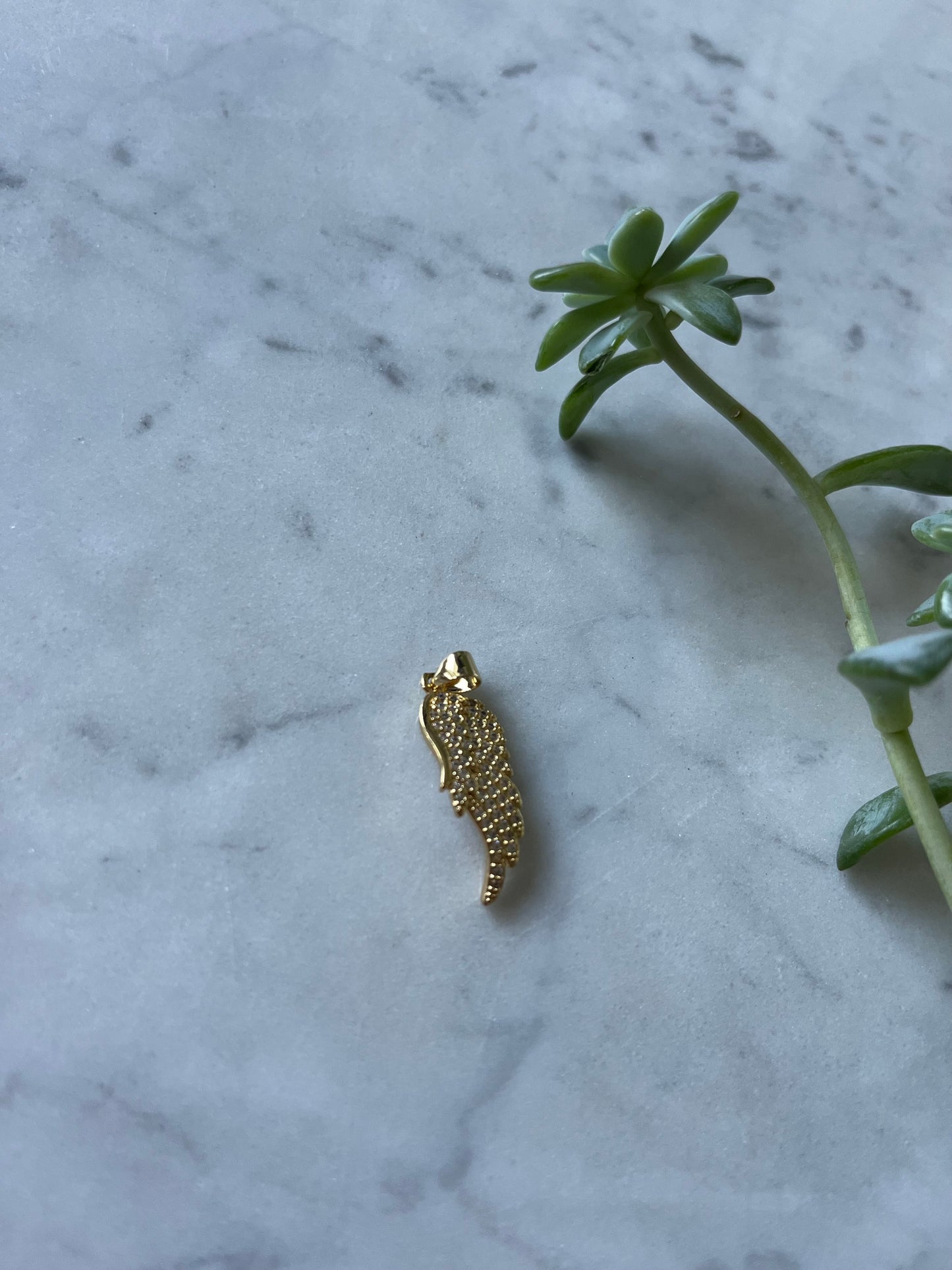 Ala baño de oro y circones