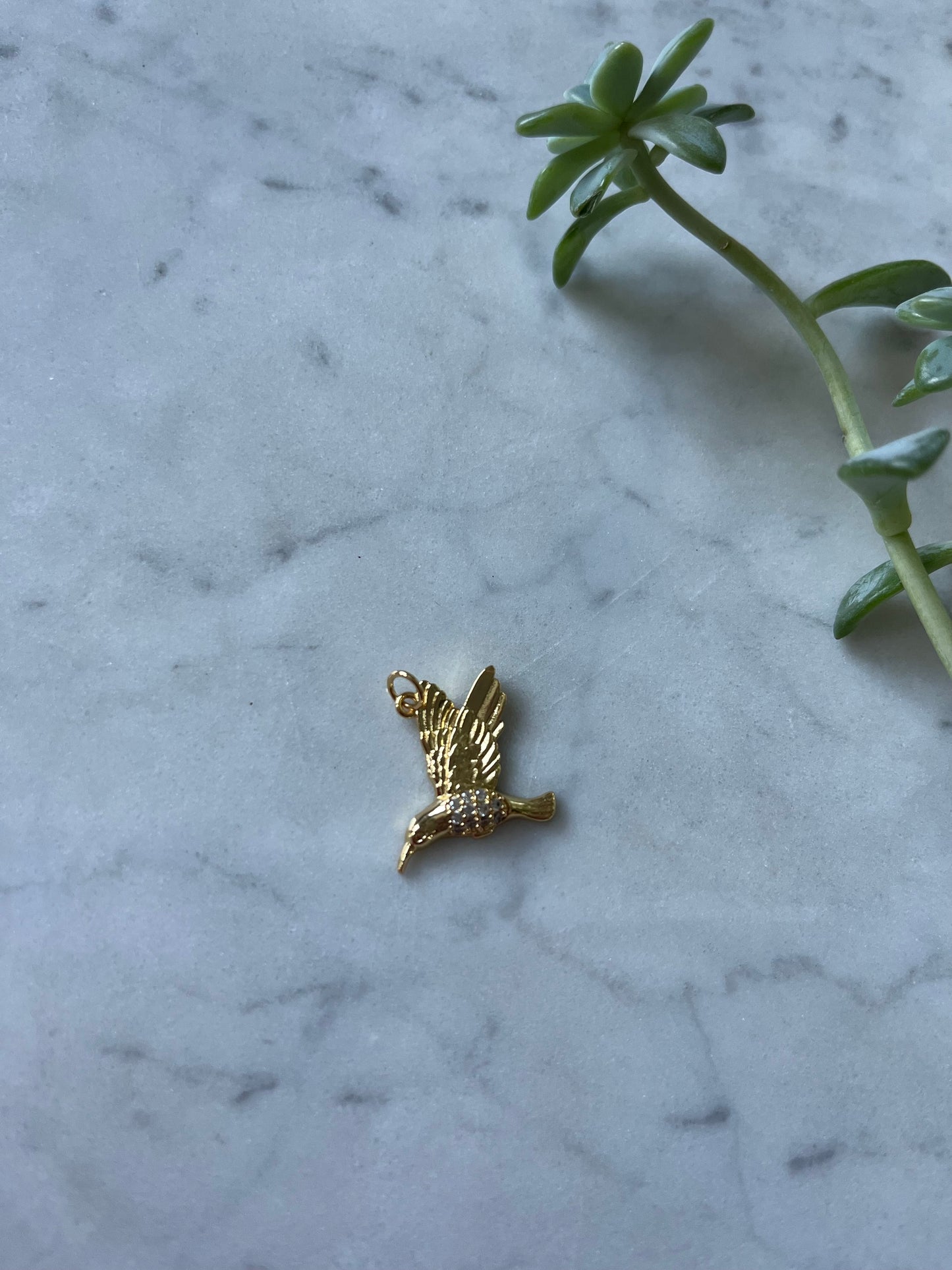 Colibrí baño de oro
