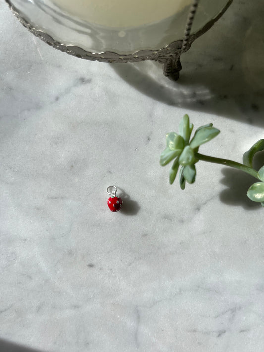 🍓 Dije Frutilla en plata 🍓