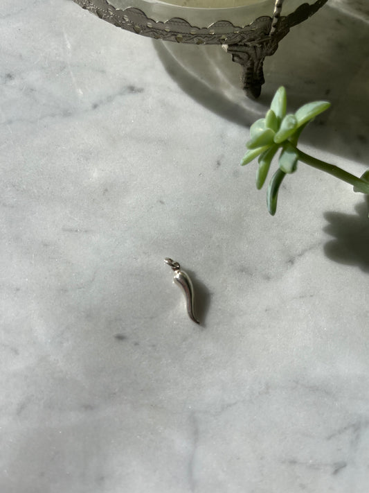 Dije Cornetto en plata 925 – Amuleto protector