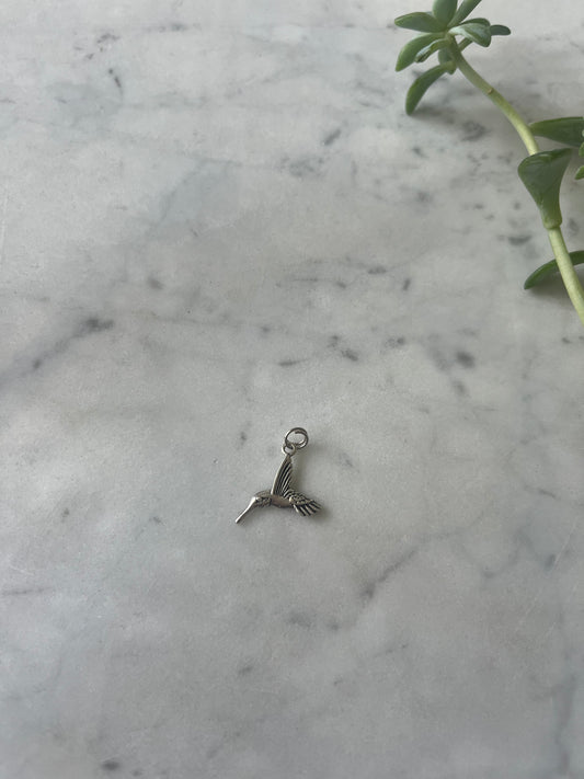 Colibrí