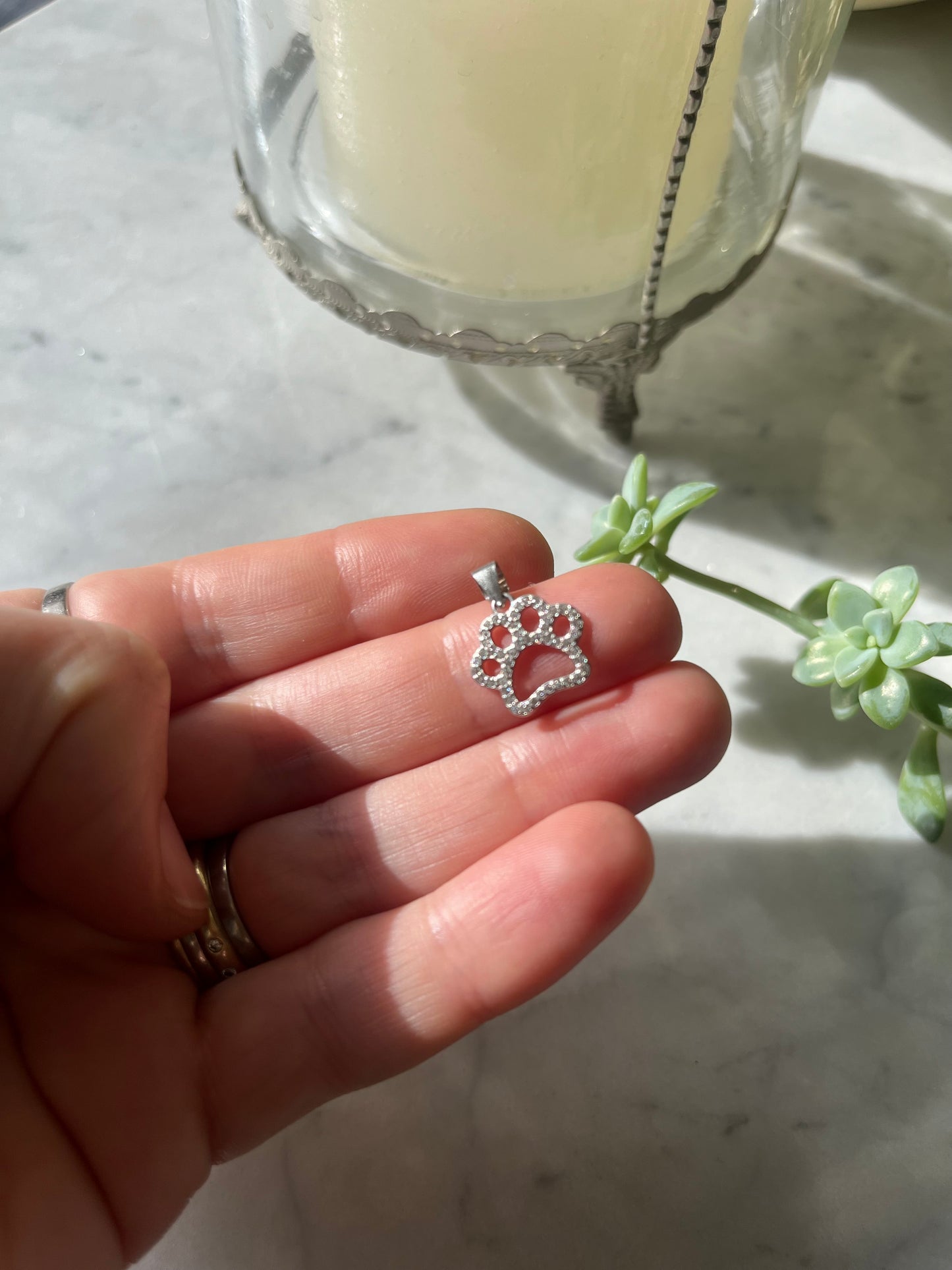 🐾 Dije Patita de perro en plata rodinada con circones 🐾