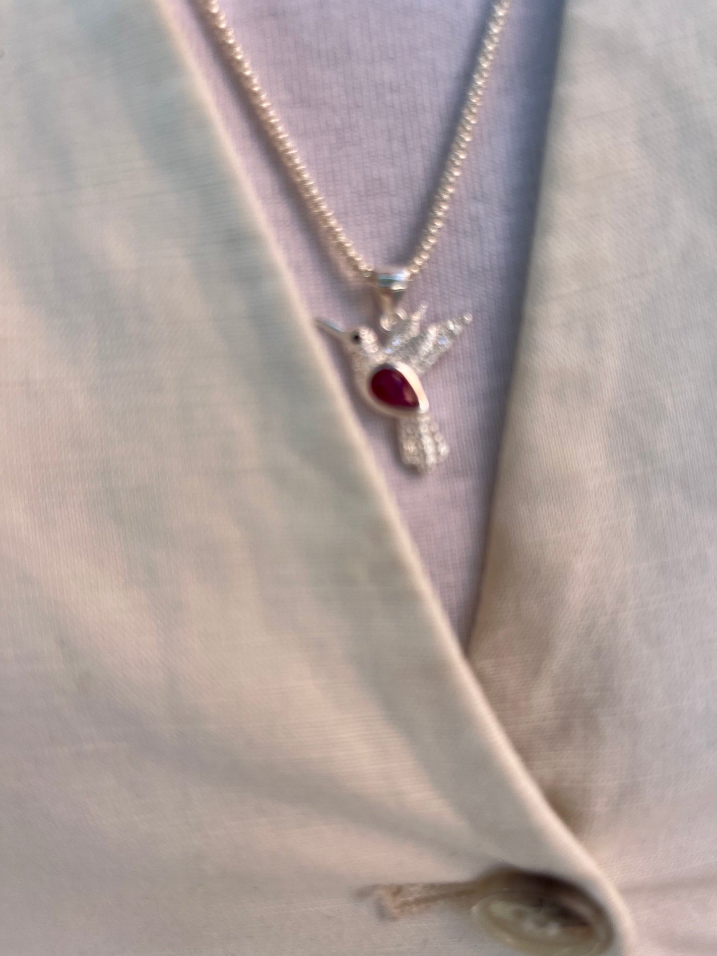 Colibrí plata circones