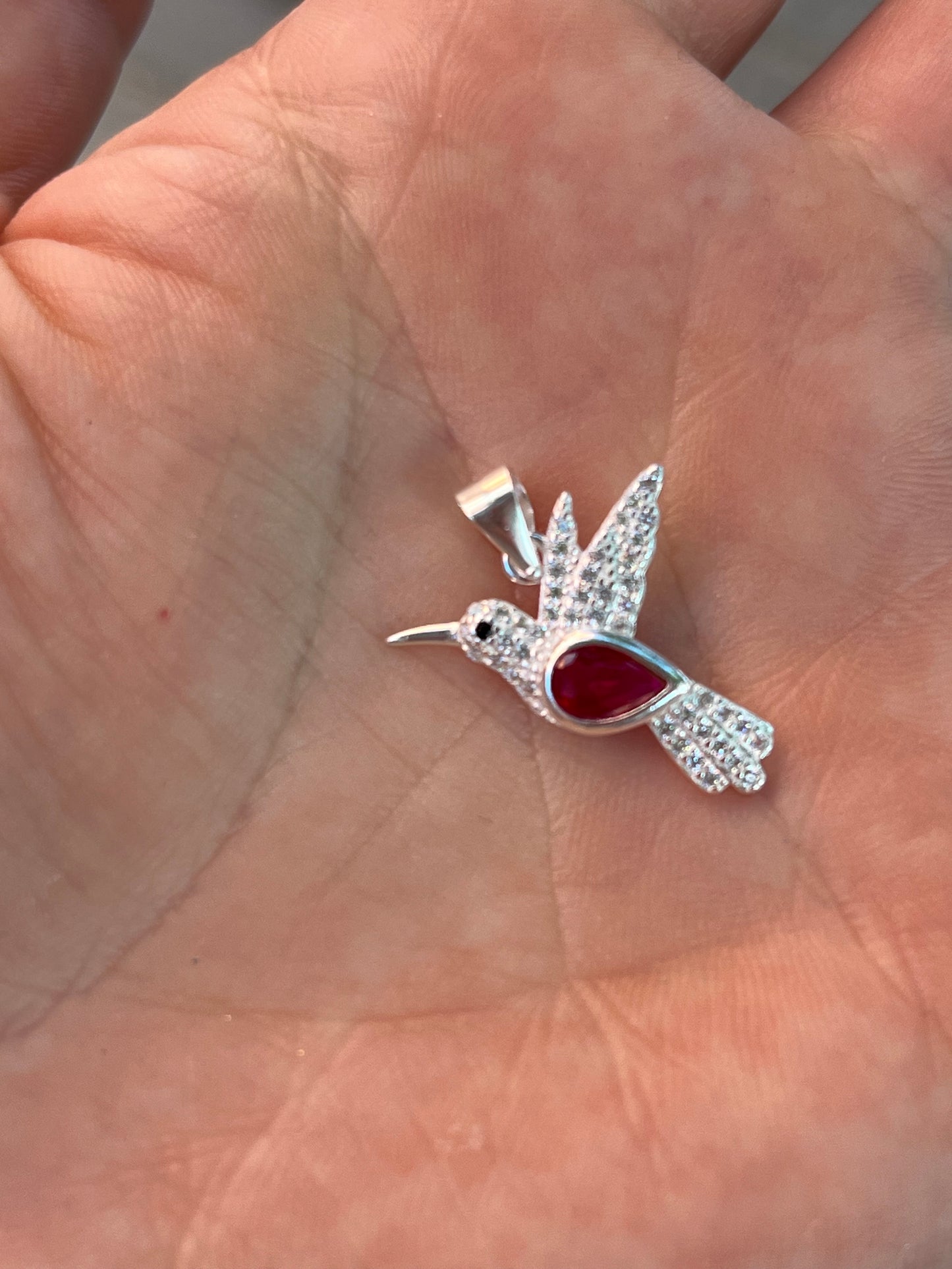 Colibrí plata circones