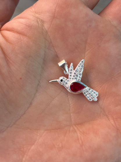 Colibrí plata circones